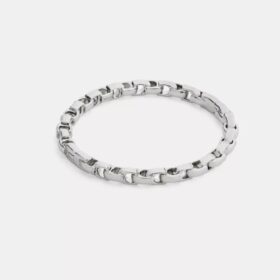 Armbånd med hængsel i vores karakteristiske kæde