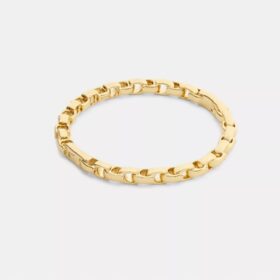 Armbånd med hængsel i vores karakteristiske kæde