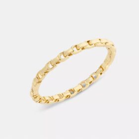 Armbånd med hængsel i vores karakteristiske kæde
