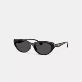 C Hardware ovale Cat Eye-solbriller