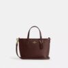 City Mini-tote-tasker