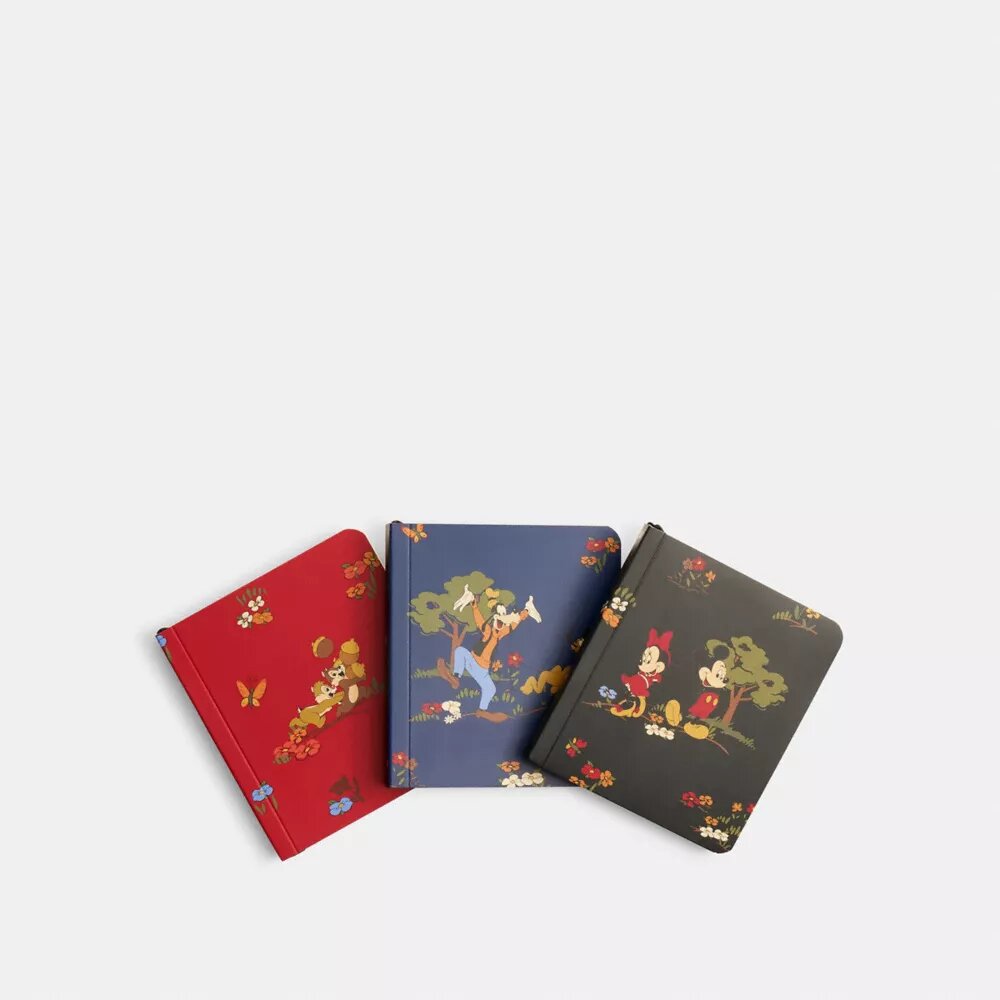 Disney X Coach mini-notesbogsæt med Mickey Mouse og venner
