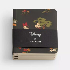 Disney X Coach mini-notesbogsæt med Mickey Mouse og venner