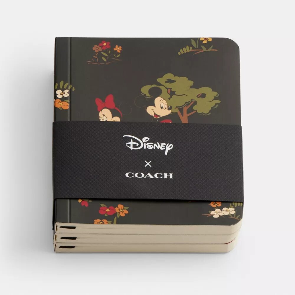 Disney X Coach mini-notesbogsæt med Mickey Mouse og venner