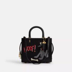 Disney X Coach Rogue-tasker 25 med Pluto
