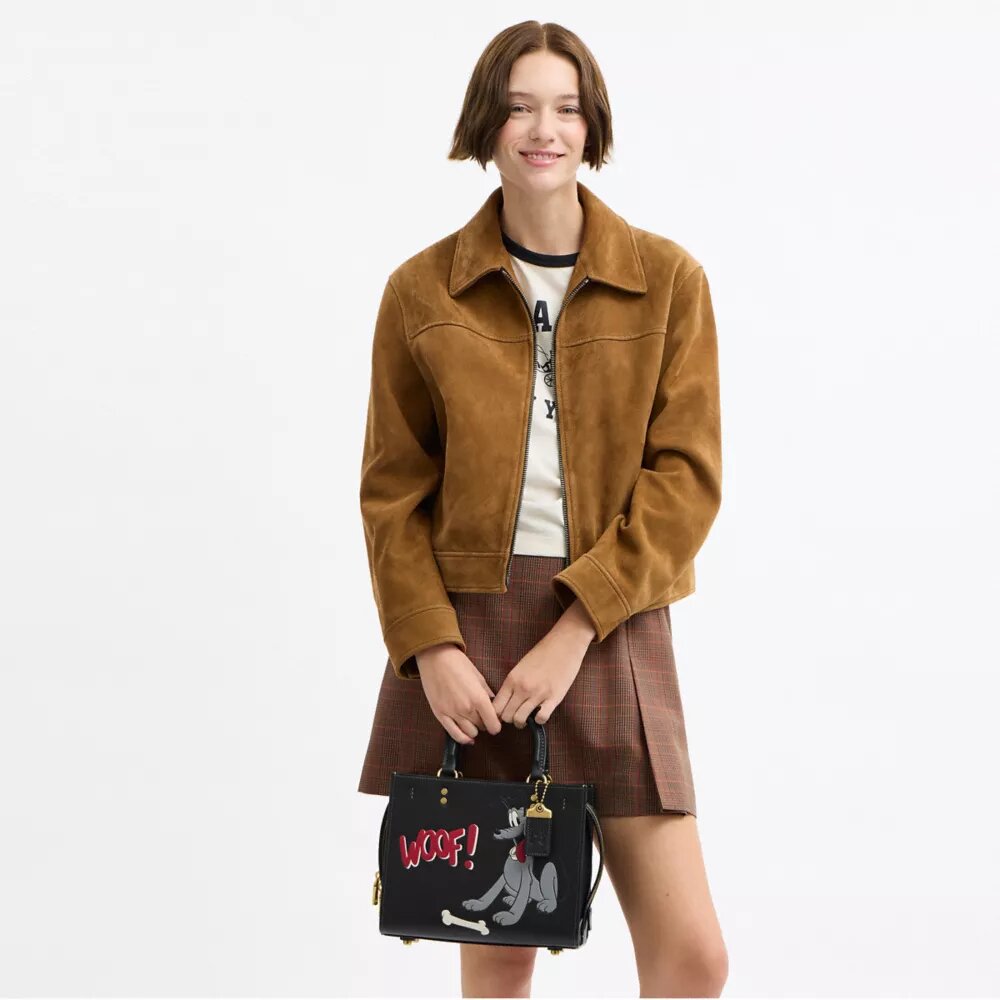 Disney X Coach Rogue-tasker 25 med Pluto