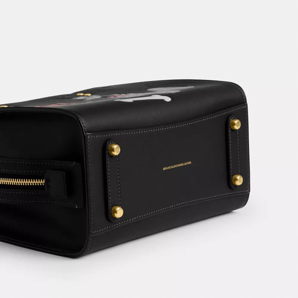 Disney X Coach Rogue-tasker 25 med Pluto
