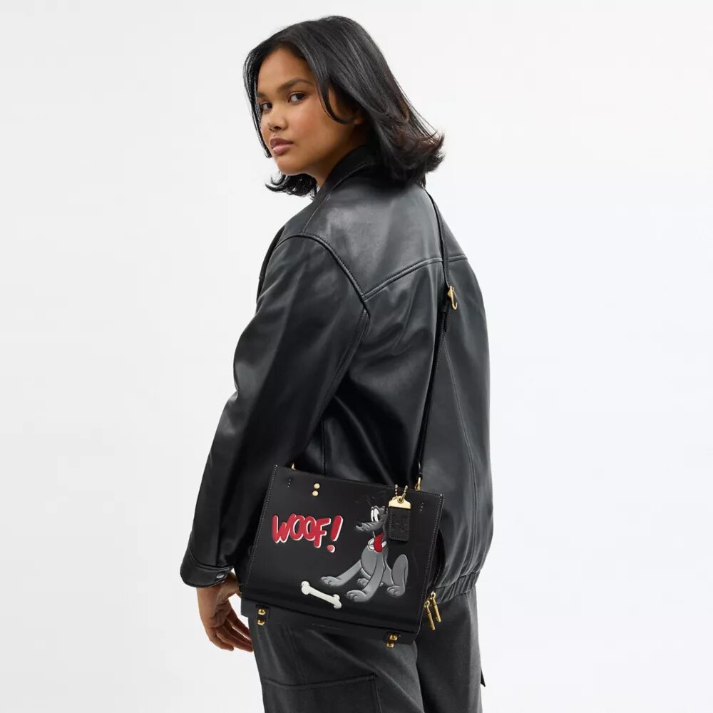 Disney X Coach Rogue-tasker 25 med Pluto