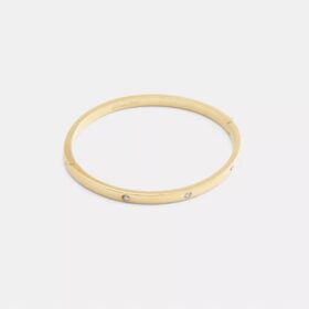 Essential armring med hængsel