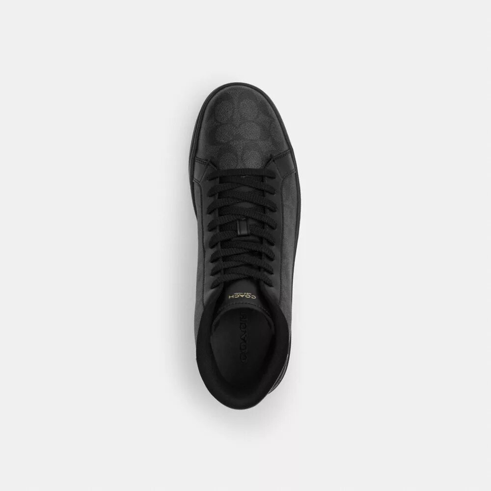 High Line High Top-sneaker i Signature Canvas