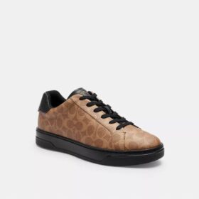 Høje sneakers i Signature Canvas