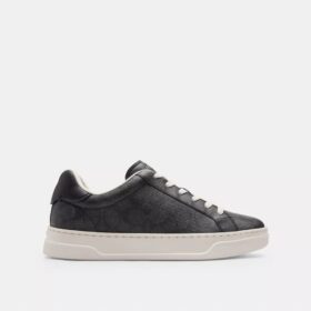 Høje sneakers i Signature Canvas
