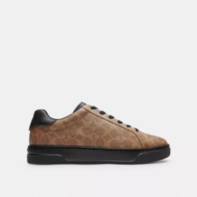Høje sneakers i Signature Canvas