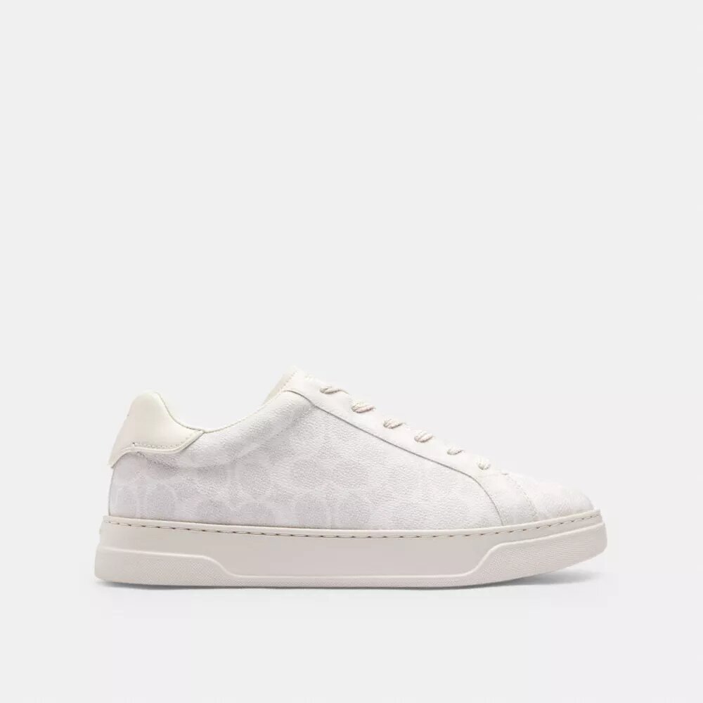 Høje sneakers i Signature Canvas