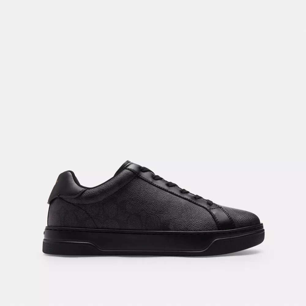 Høje sneakers i Signature Canvas