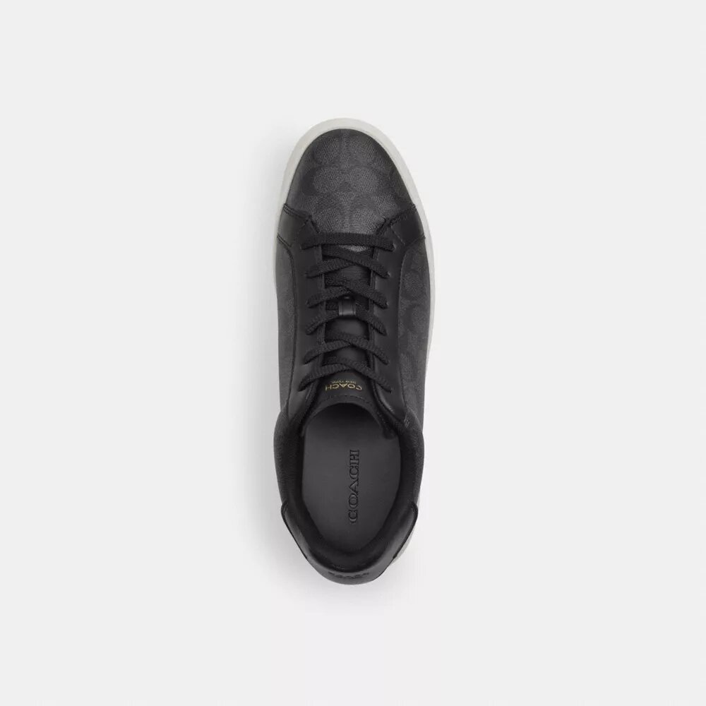 Høje sneakers i Signature Canvas