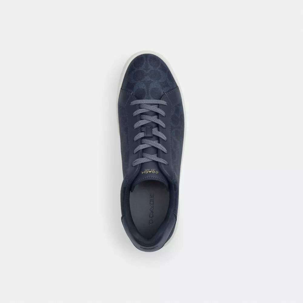 Høje sneakers i Signature Canvas