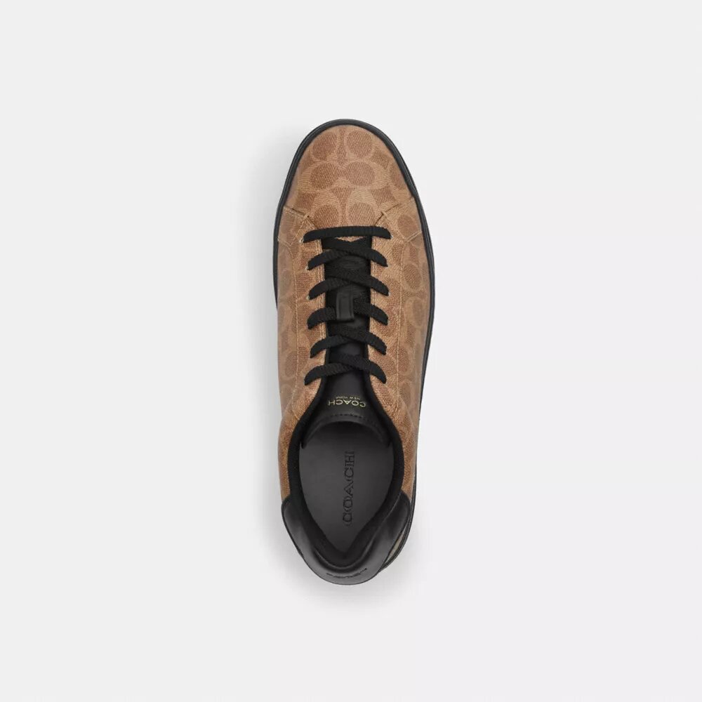 Høje sneakers i Signature Canvas