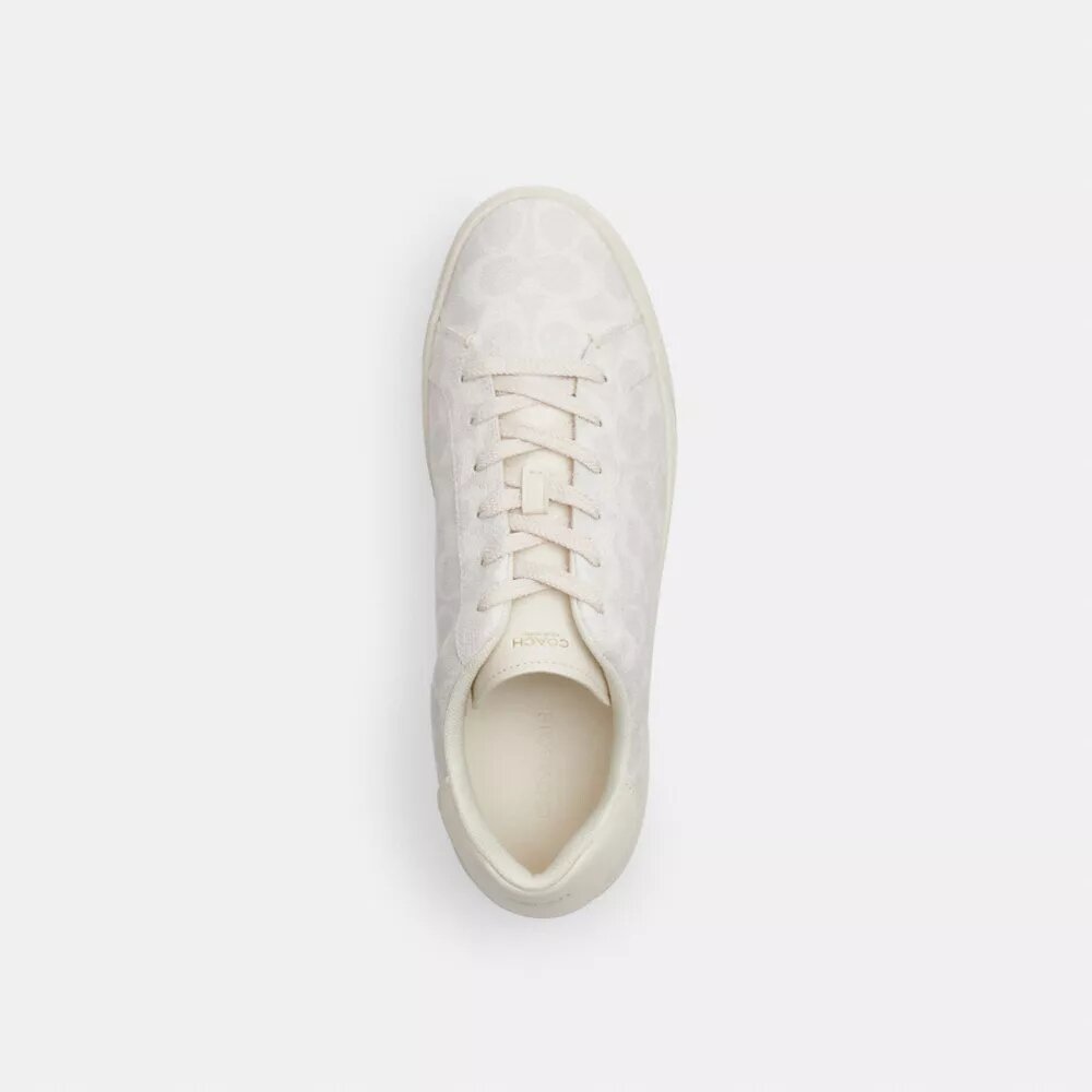 Høje sneakers i Signature Canvas