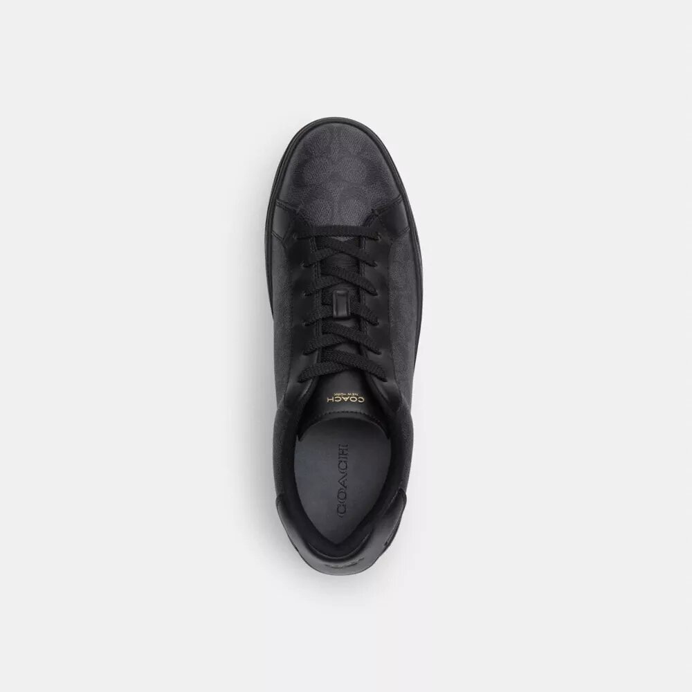 Høje sneakers i Signature Canvas