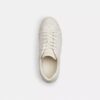 Høje sneakers i Signature Canvas