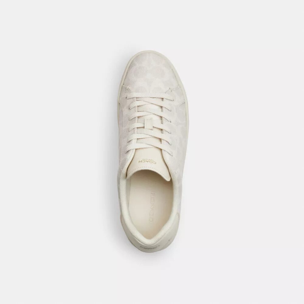 Høje sneakers i Signature Canvas