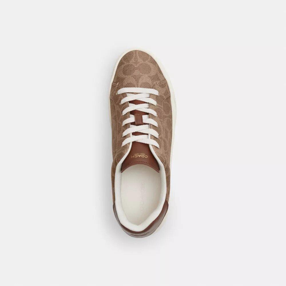 Høje sneakers i Signature Canvas