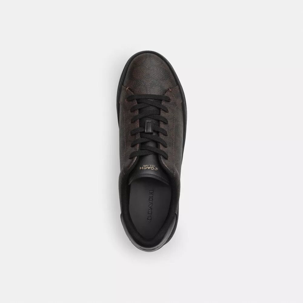Høje sneakers i Signature Canvas