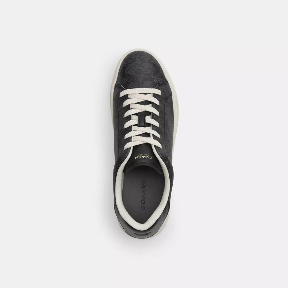 Høje sneakers i Signature Canvas