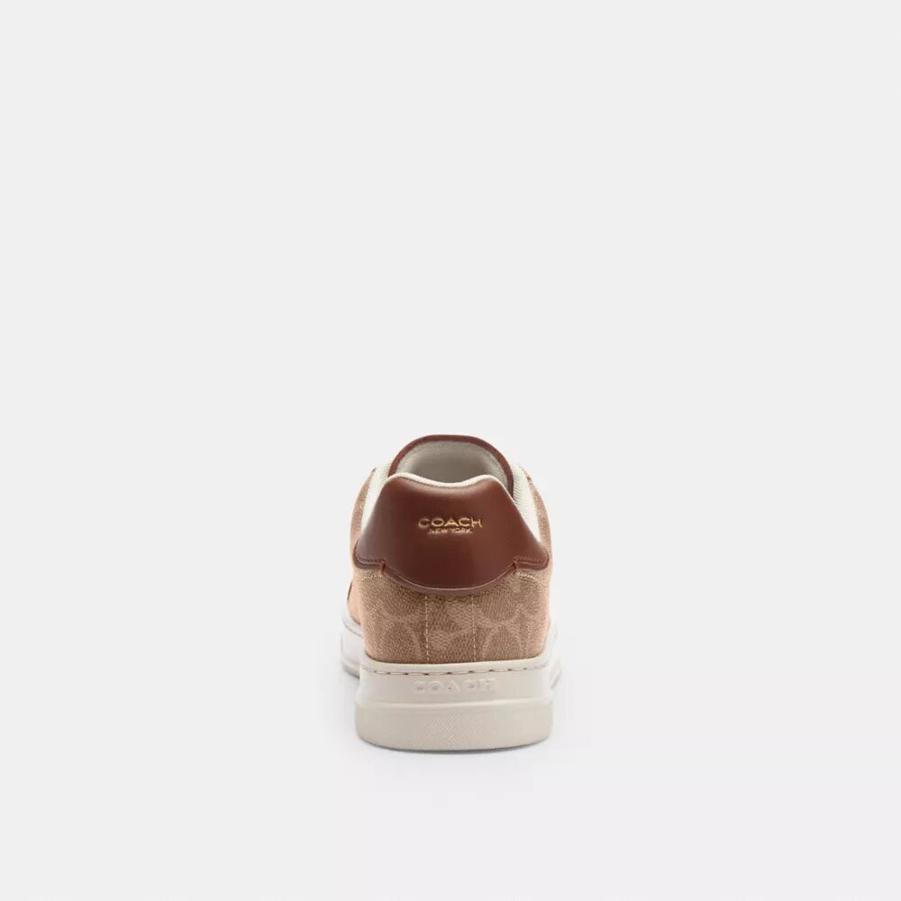 Høje sneakers i Signature Canvas