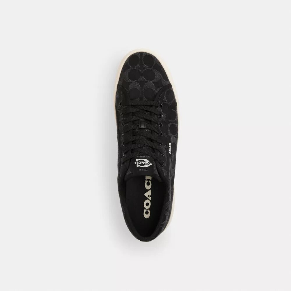 Lærredssneakers i Signature-denim