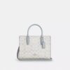 Maggie lille tote-tasker i Signature Canvas