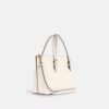Mollie-tote-tasker 25