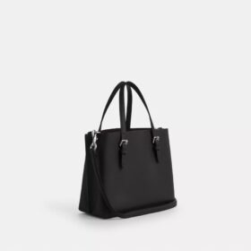 Mollie-tote-tasker 25