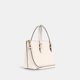 Mollie-tote-tasker 25
