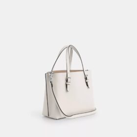 Mollie-tote-tasker 25