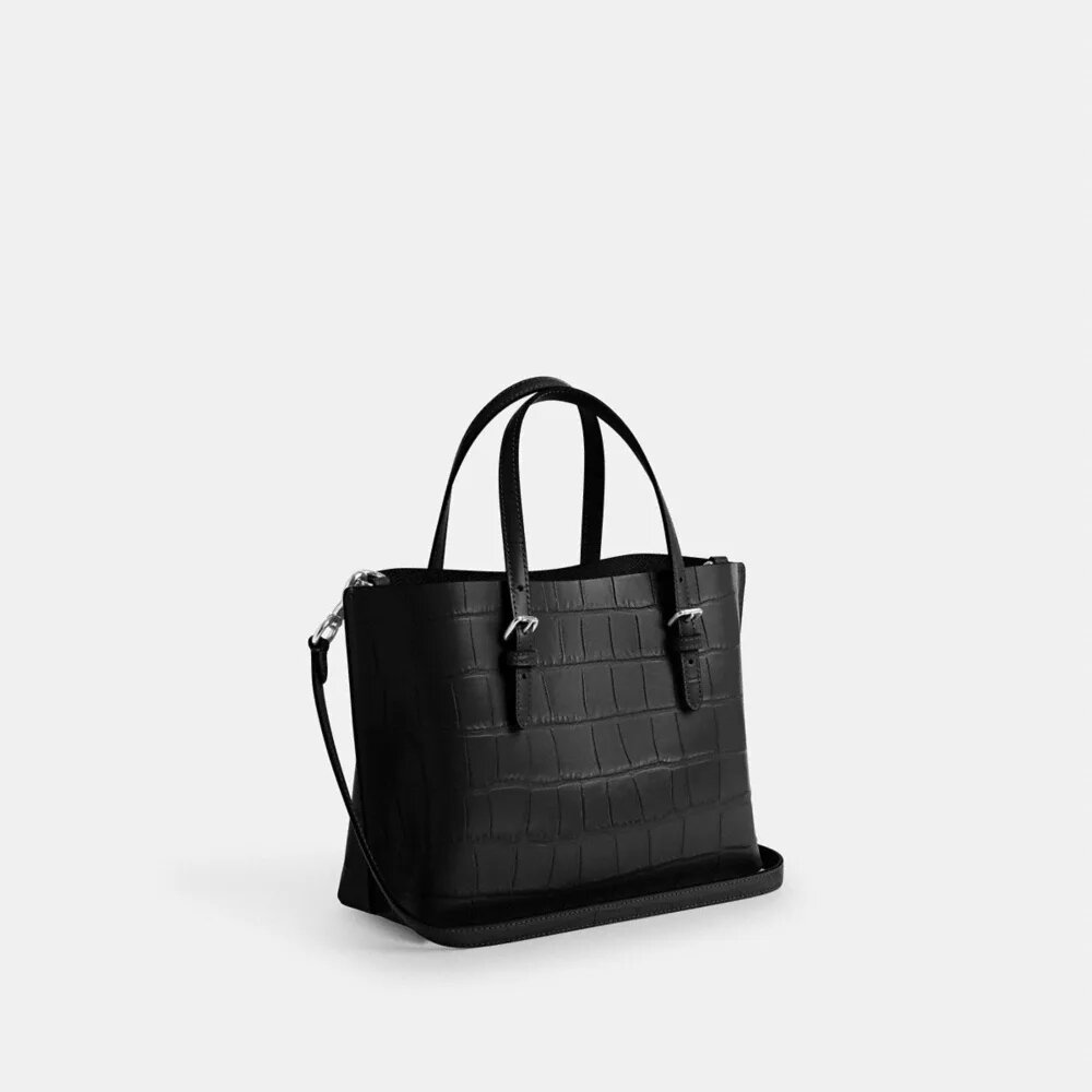 Mollie-tote-tasker 25