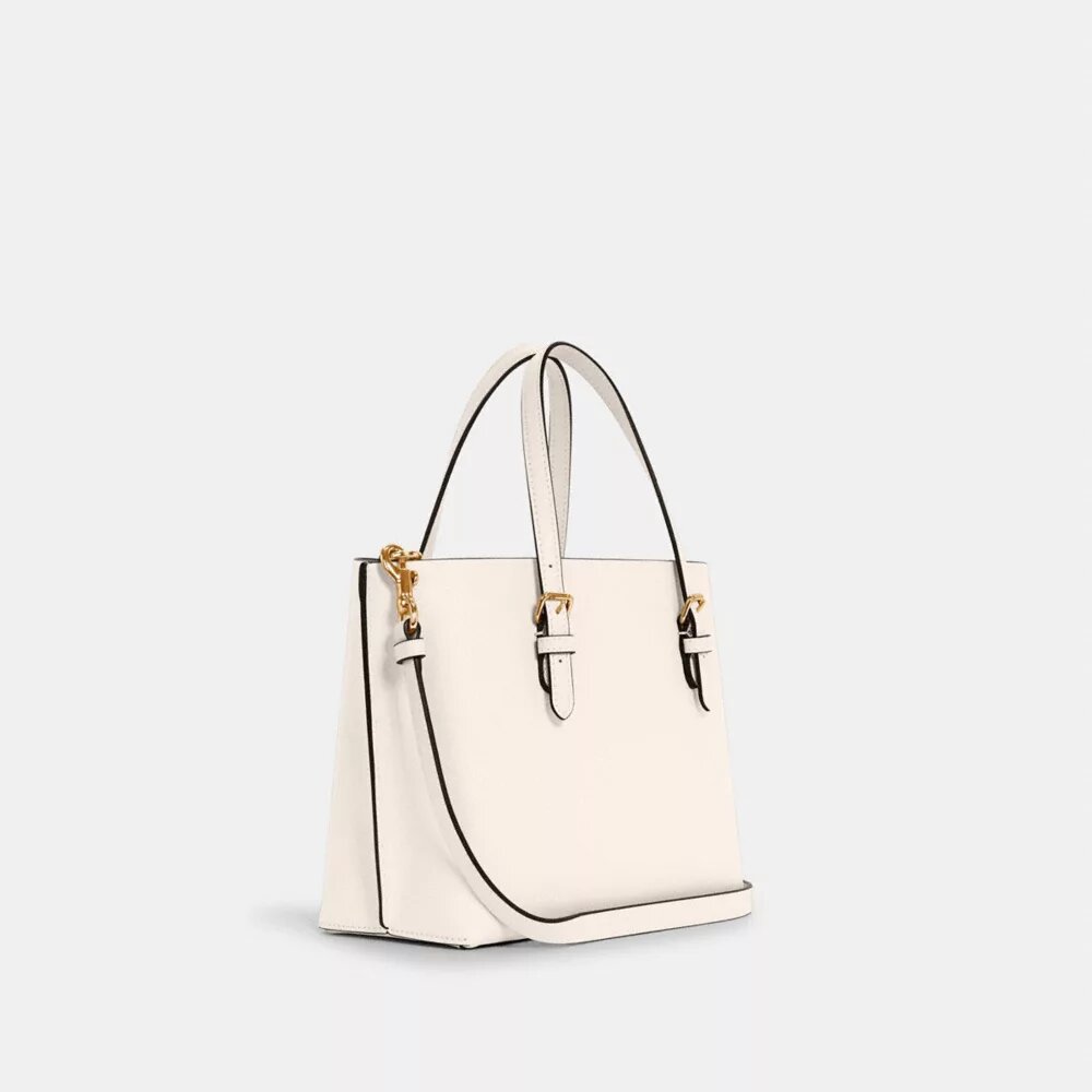 Mollie-tote-tasker 25