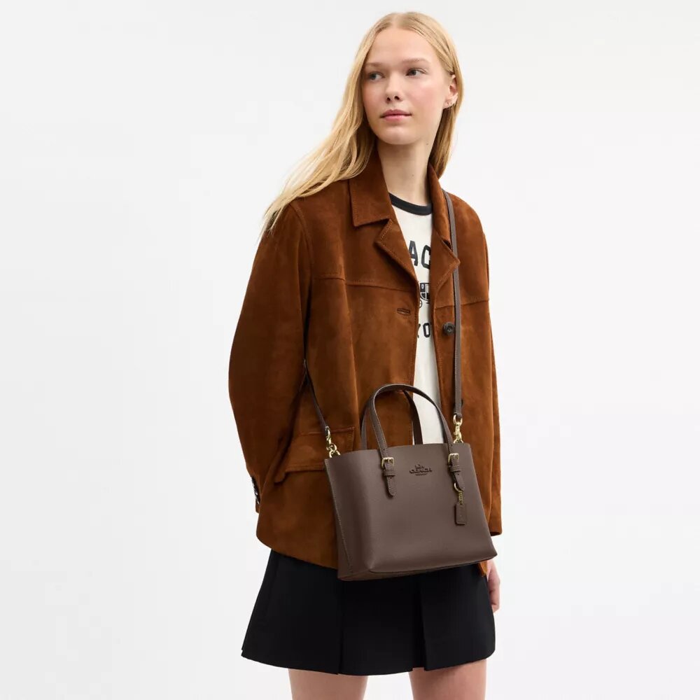 Mollie-tote-tasker 25
