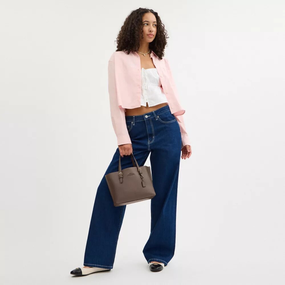 Mollie-tote-tasker 25