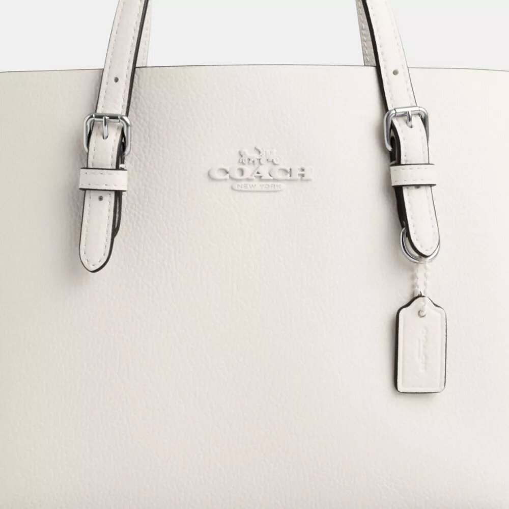 Mollie-tote-tasker 25