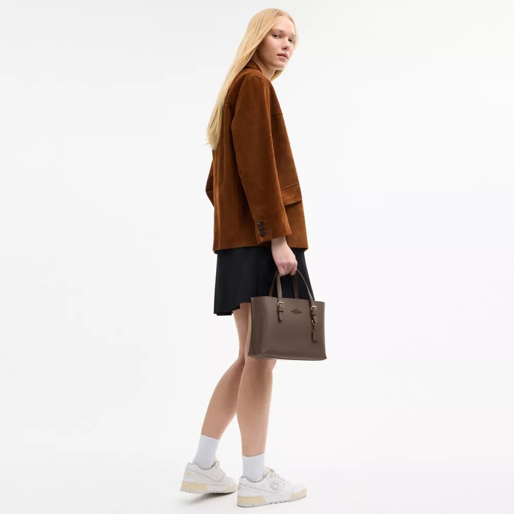 Mollie-tote-tasker 25
