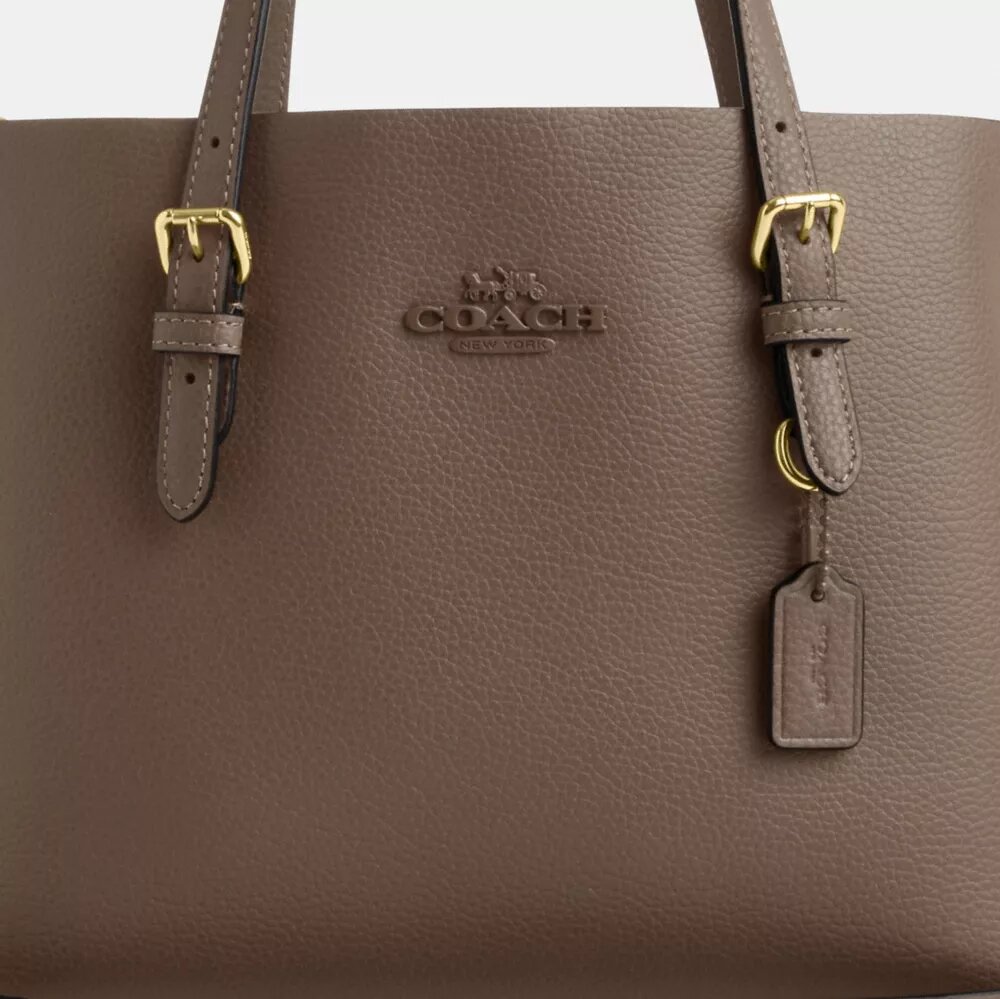 Mollie-tote-tasker 25