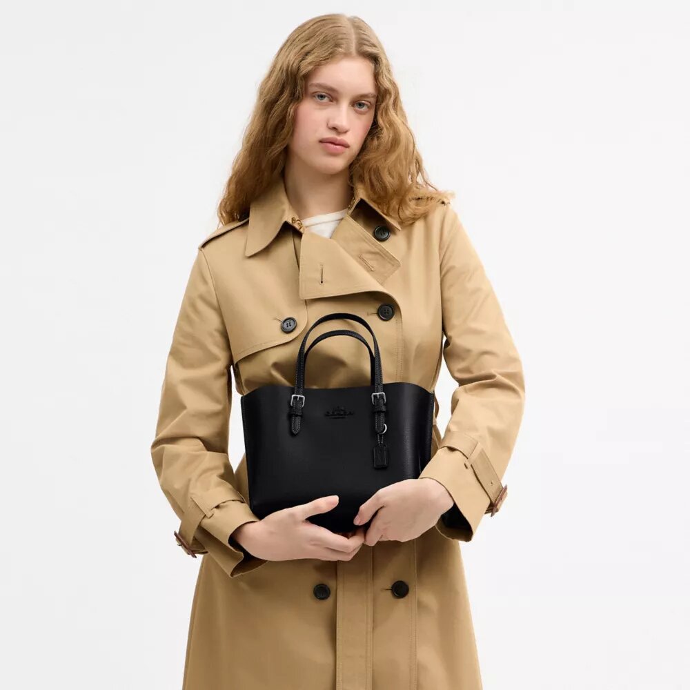 Mollie-tote-tasker 25