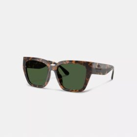 Oversized Cat Eye-solbriller