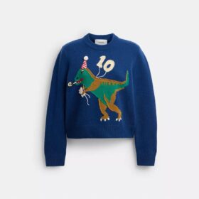 Rexy 10-års fødselsdagstrøje med trøjer med rund hals