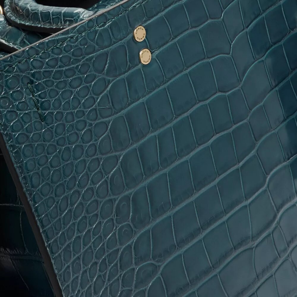 Rogue-tasker i alligator