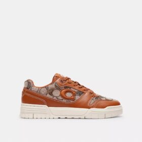 Soho-sneakers i Crystal Signature Jacquard