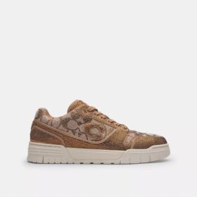 Soho-sneakers i Crystal Signature Jacquard