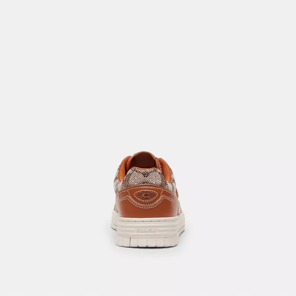 Soho-sneakers i Crystal Signature Jacquard